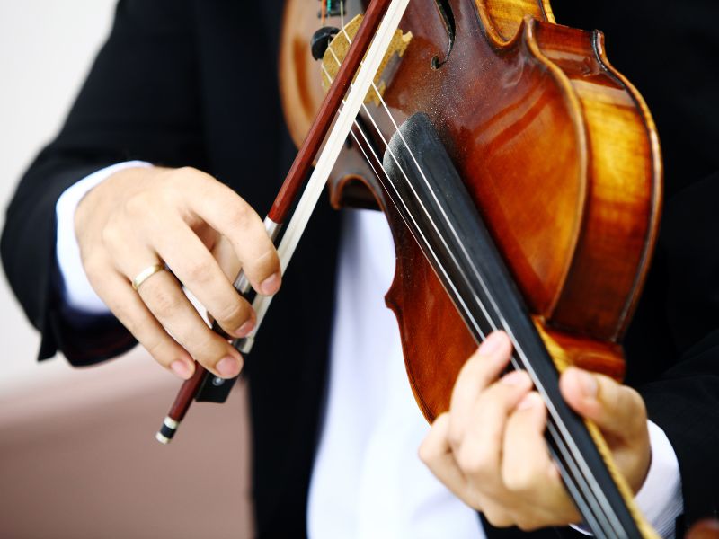 clásica uno de los mejores géneros de música para viola en eventos