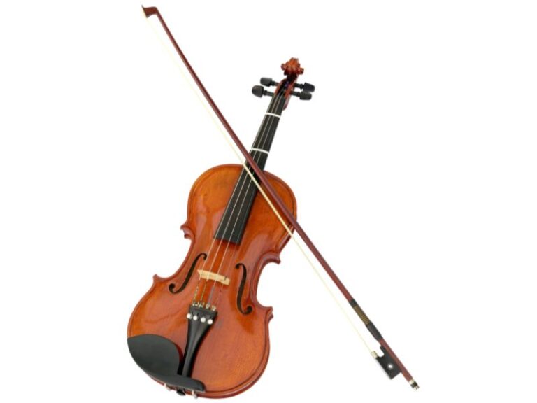 Los 10 instrumentos más dificiles de tocar - Viola Tempestad